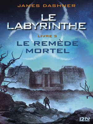 cover image of Le labyrinthe--Tome 03
